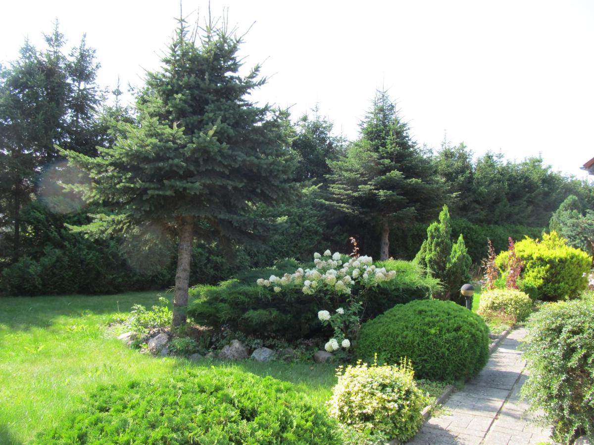Villa Dom W Niechorzu Niechorze Esterno foto