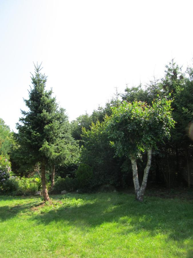 Villa Dom W Niechorzu Niechorze Esterno foto